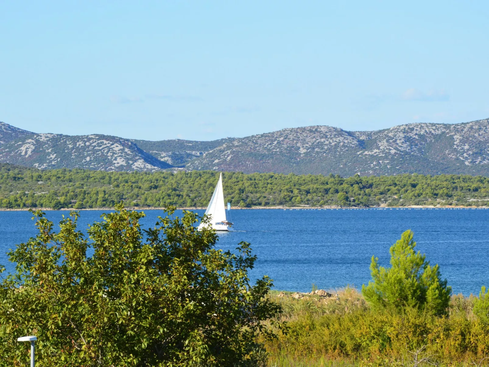 Marina-Binnen