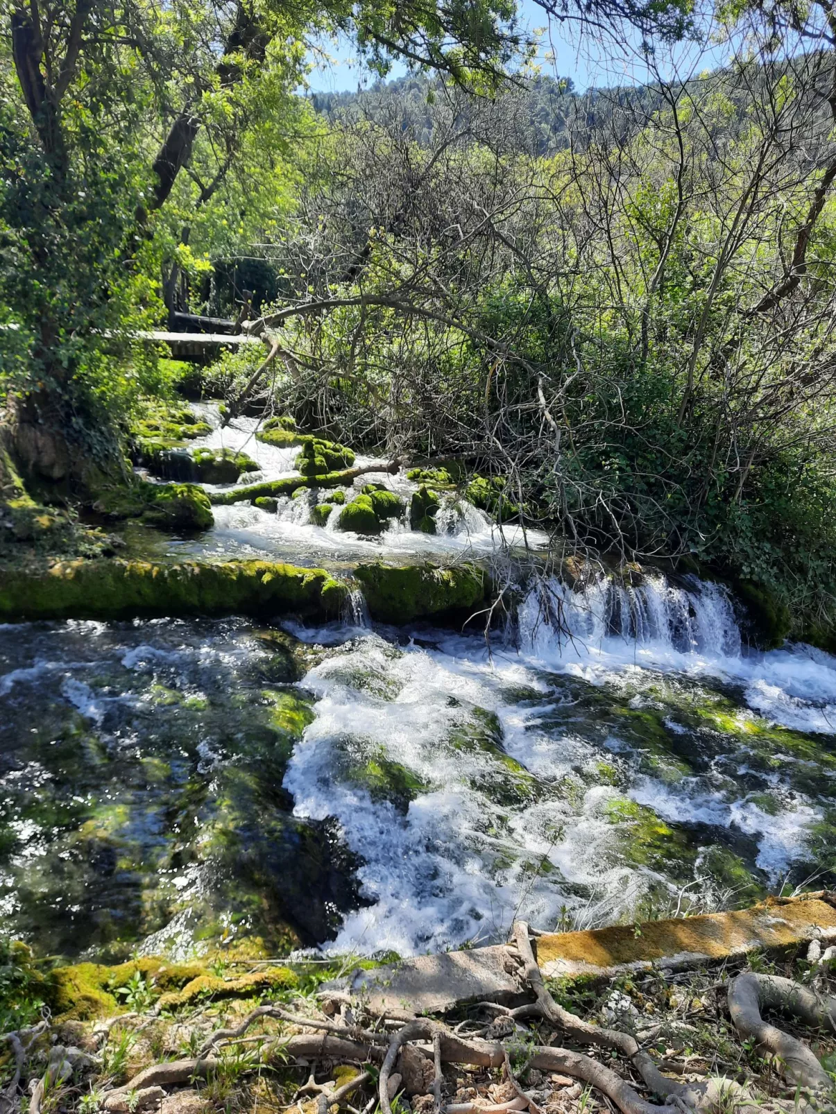 Aleksa-Omgeving