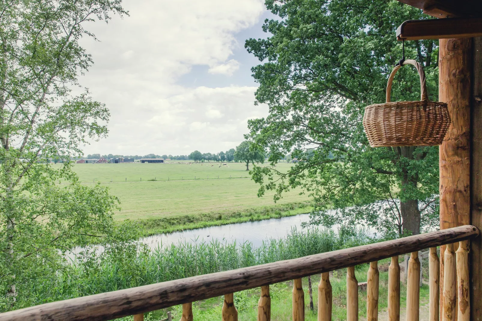 Vakantiepark Mölke 14-Uitzicht zomer