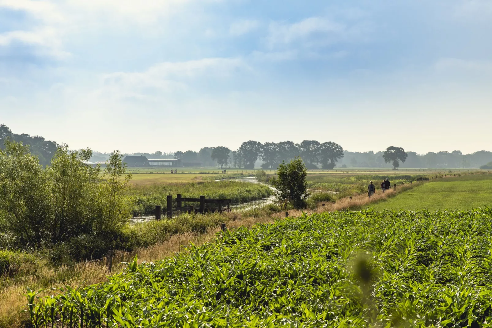 Vakantiepark Mölke 14-Gebieden zomer 1km