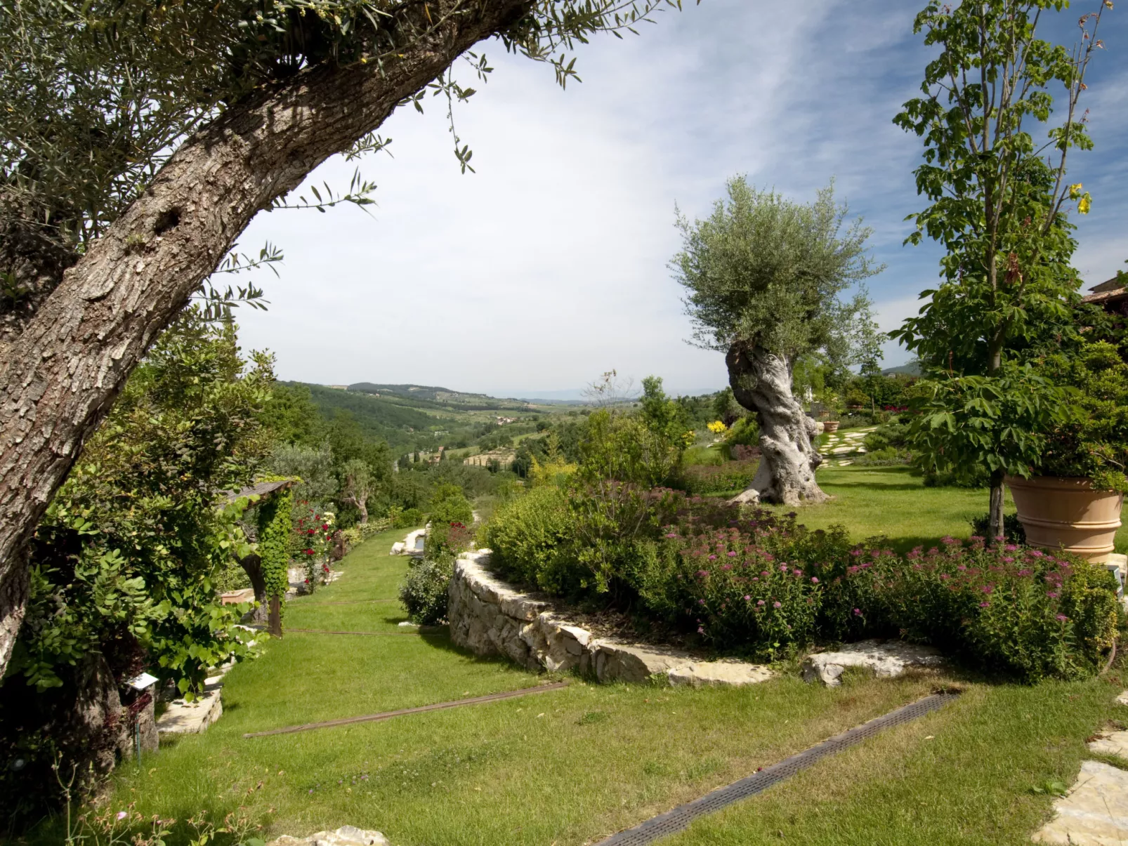 Il Borgo di Savignola-Buiten