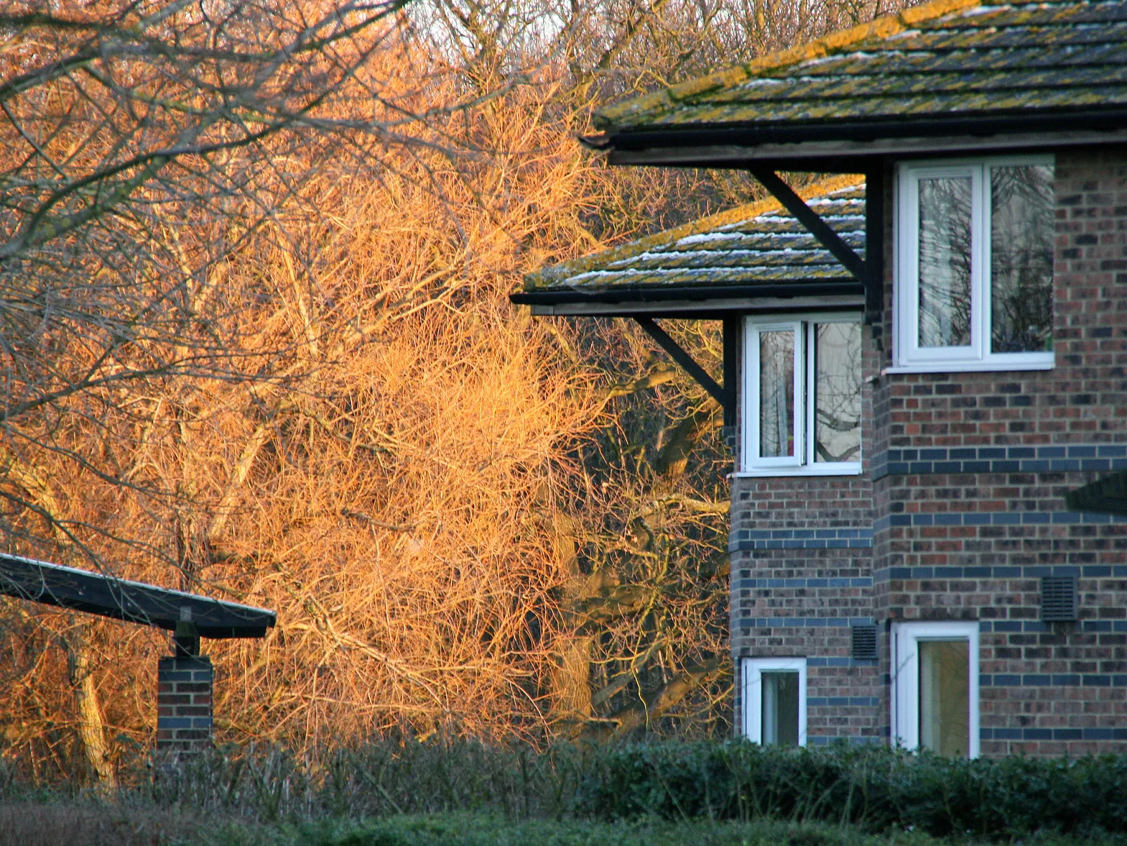 University Campus Park Wood-Buiten