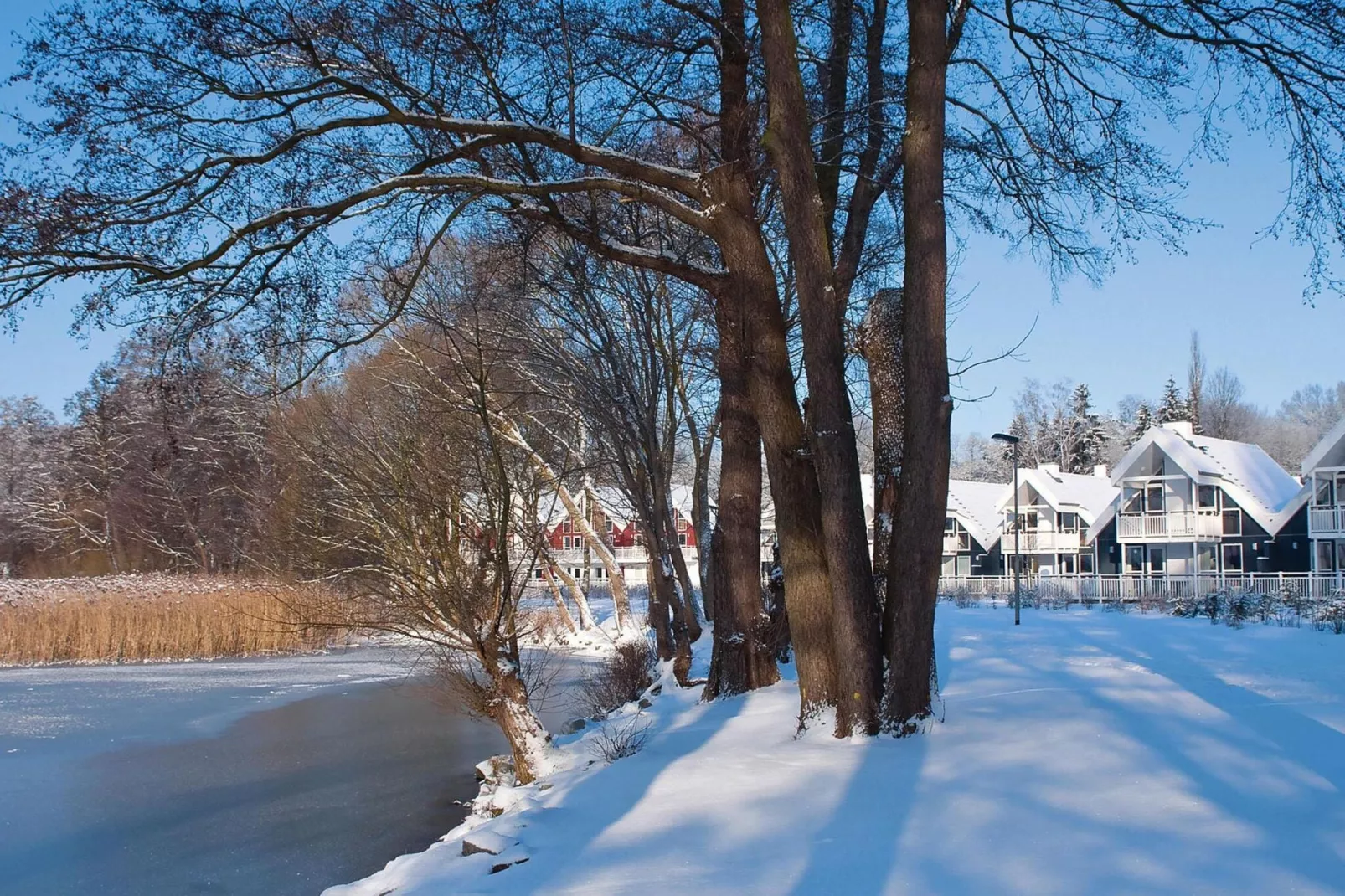 Ferienhaus Fünen im Schlosspark-Gebied winter 1km