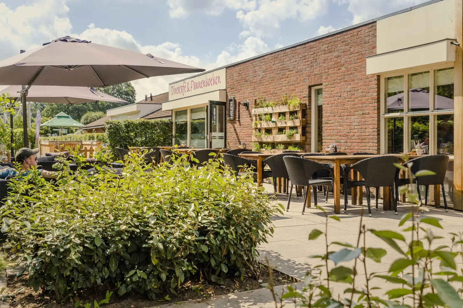 Vakantiepark Mölke 20-Gebieden zomer 1km