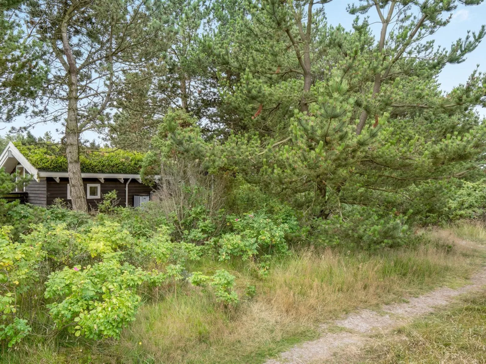 "Alfi" - 150m from the sea-Buiten