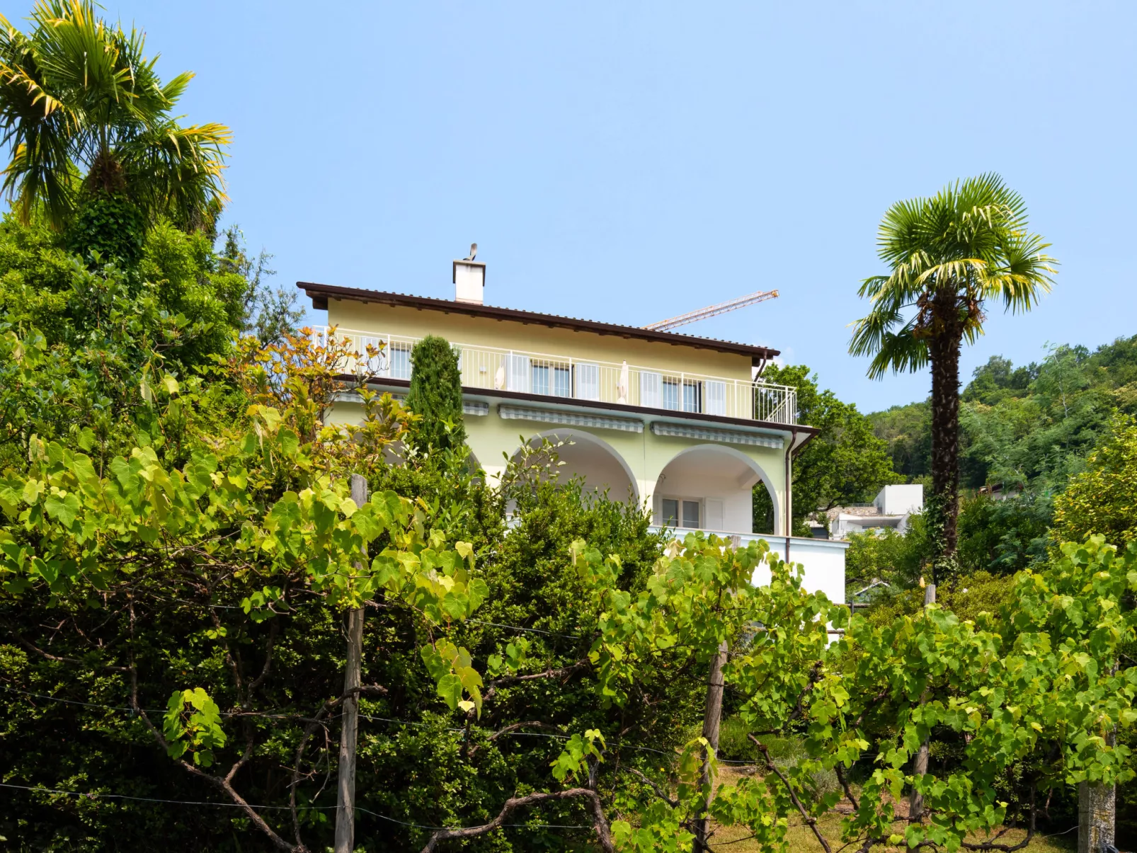 Villa Vernice Gialla-Buiten