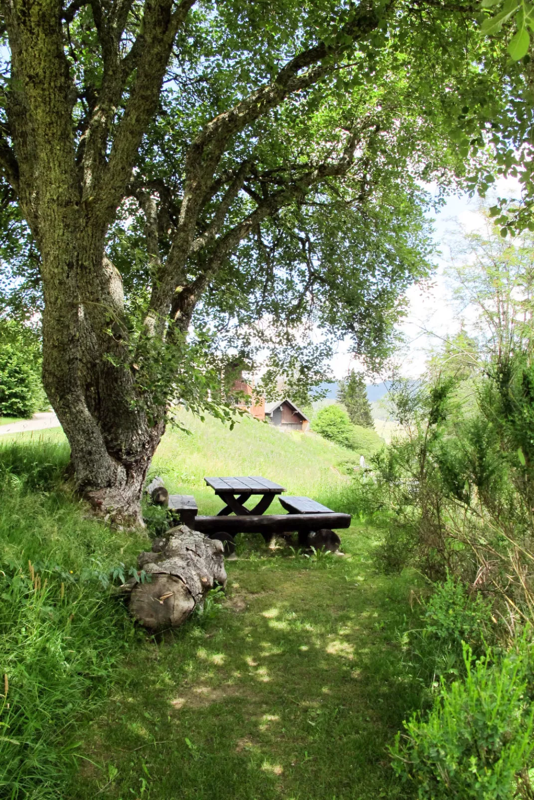 Rechbergblick (BEU302)-Buiten