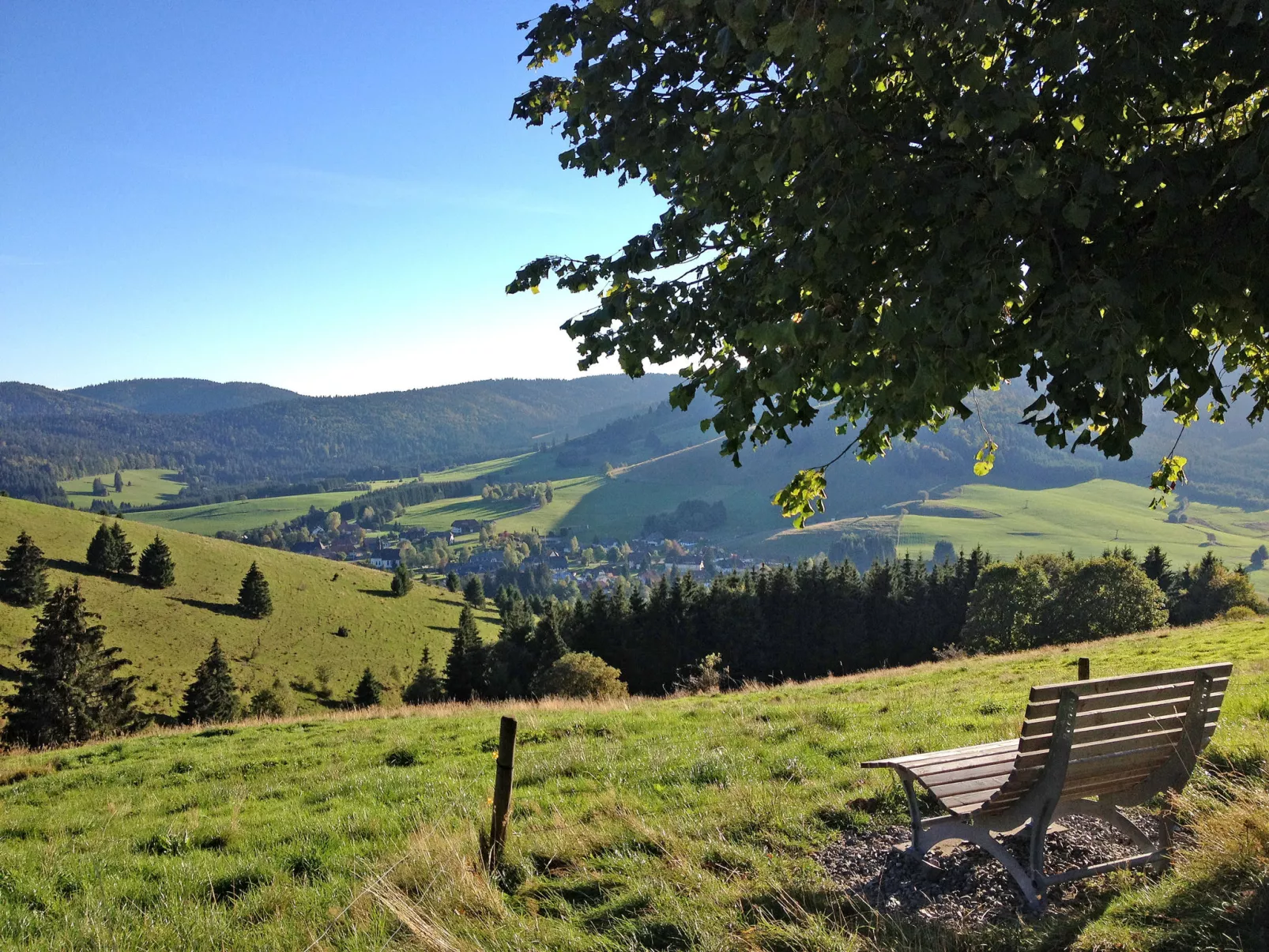 Schwarzwaldblick I-Omgeving