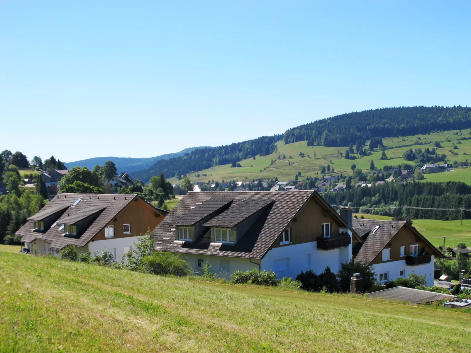 Schwarzwaldblick II-Buiten