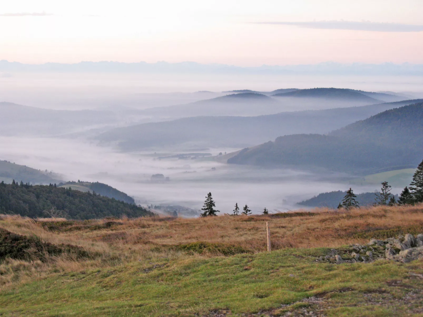 Schwarzwaldblick II-Omgeving