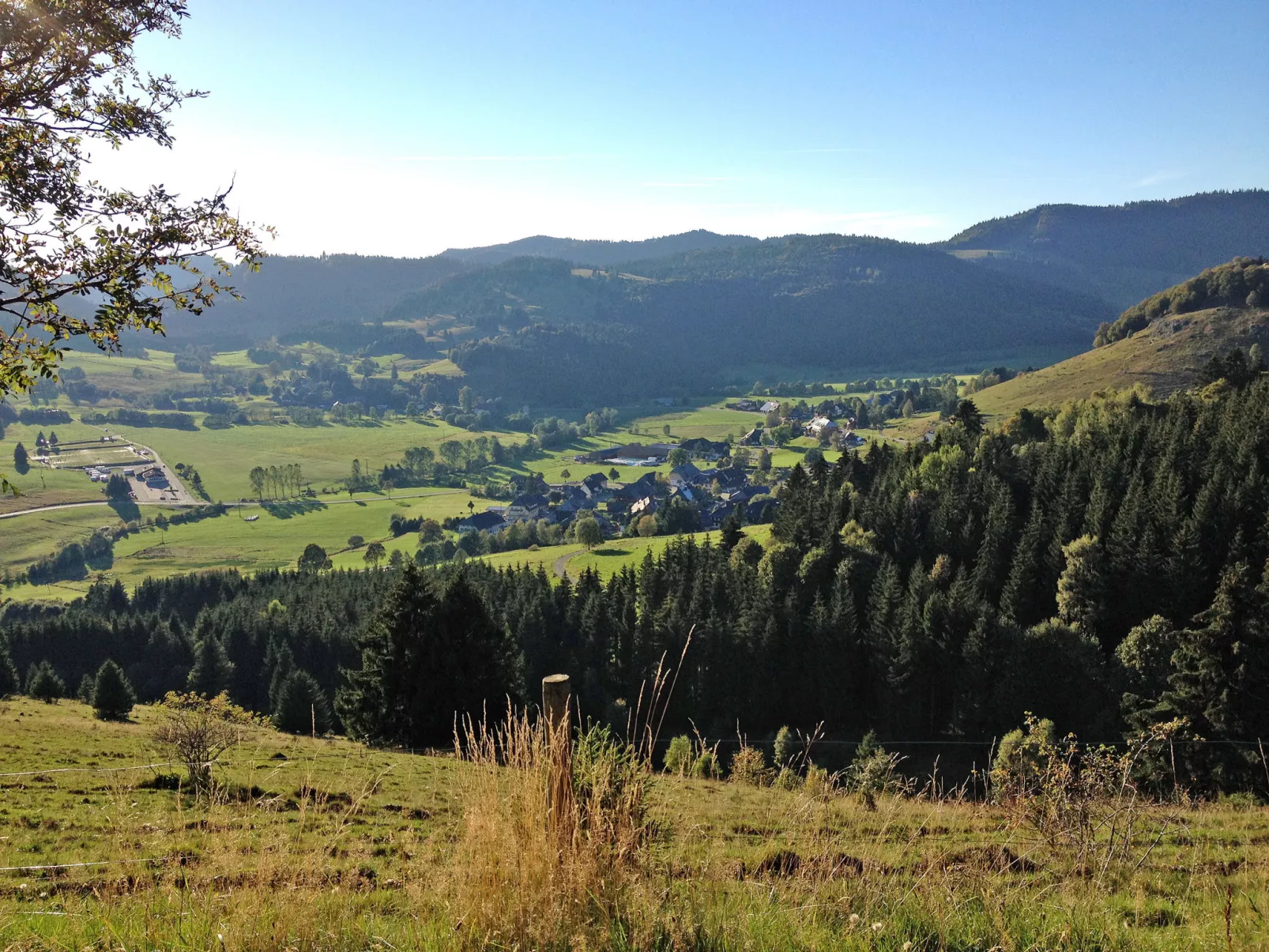 Schwarzwaldblick II-Omgeving