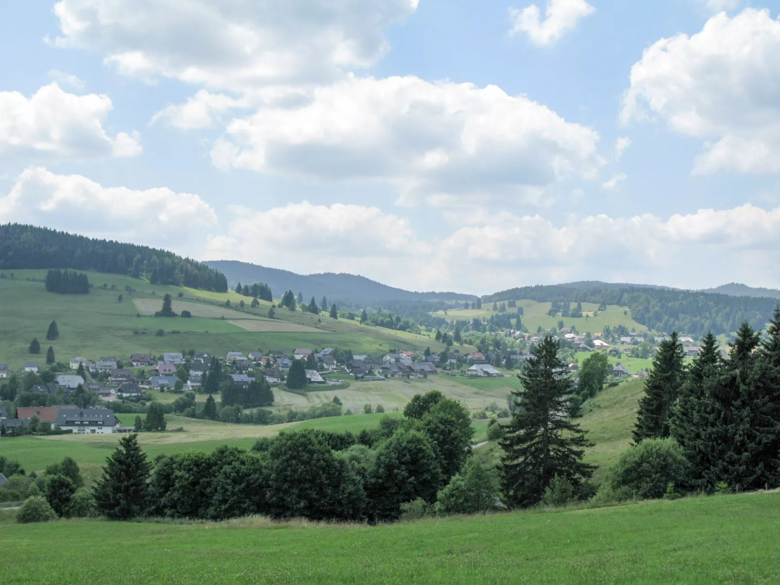 Schwarzwaldblick III-Omgeving