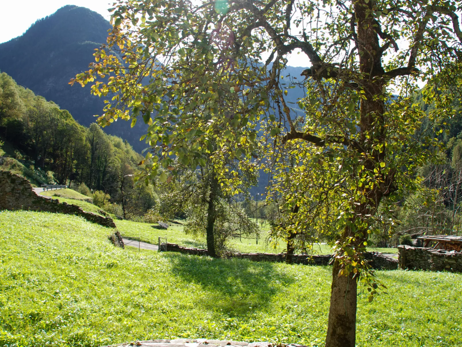 Casa Signorile-Buiten