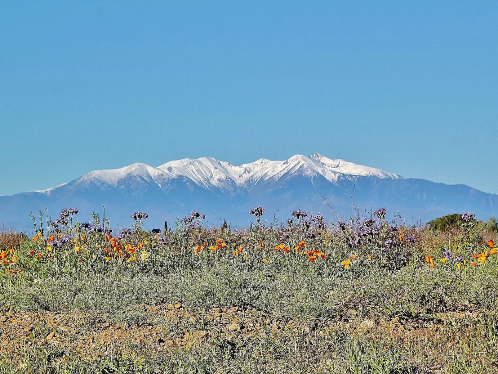 Santa Barbara-Omgeving