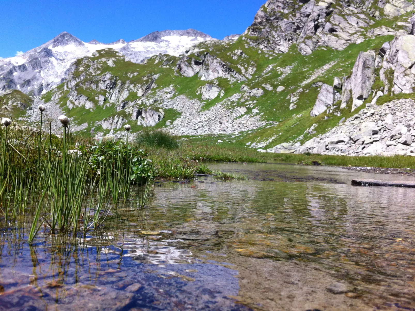 Rustico Refugio Paradiso Montana-Omgeving