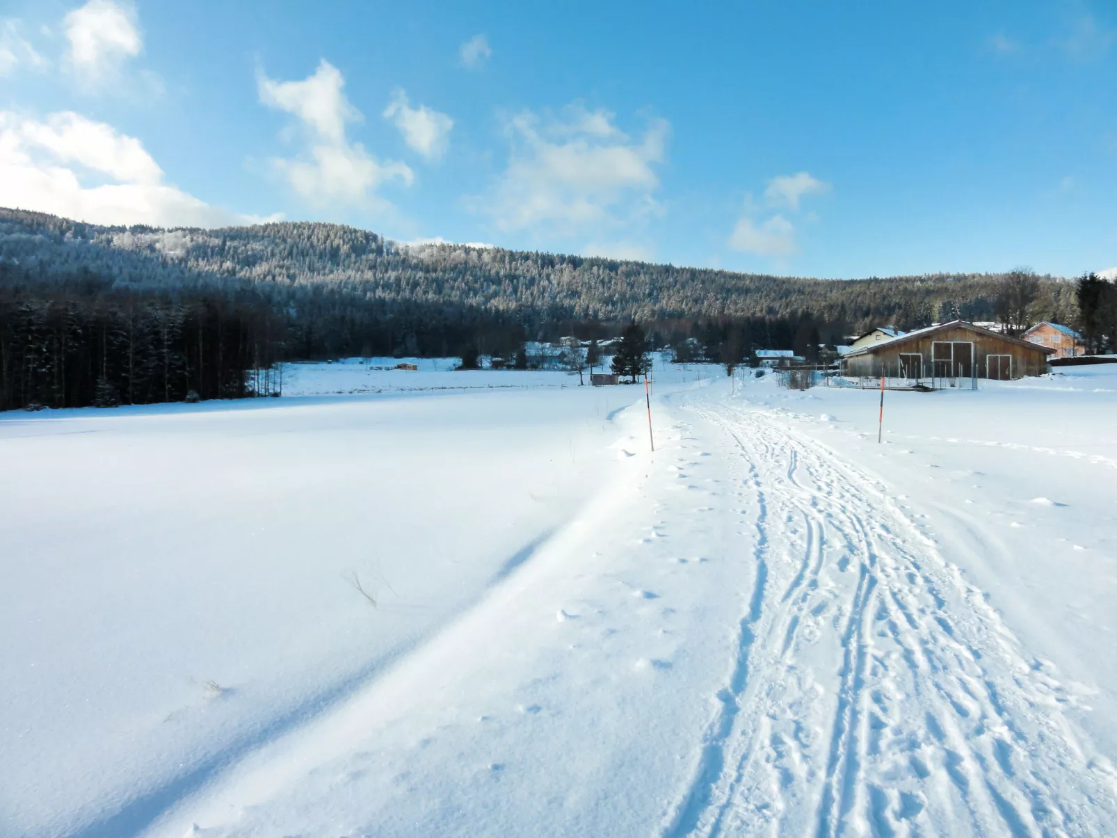 Birke-Buiten