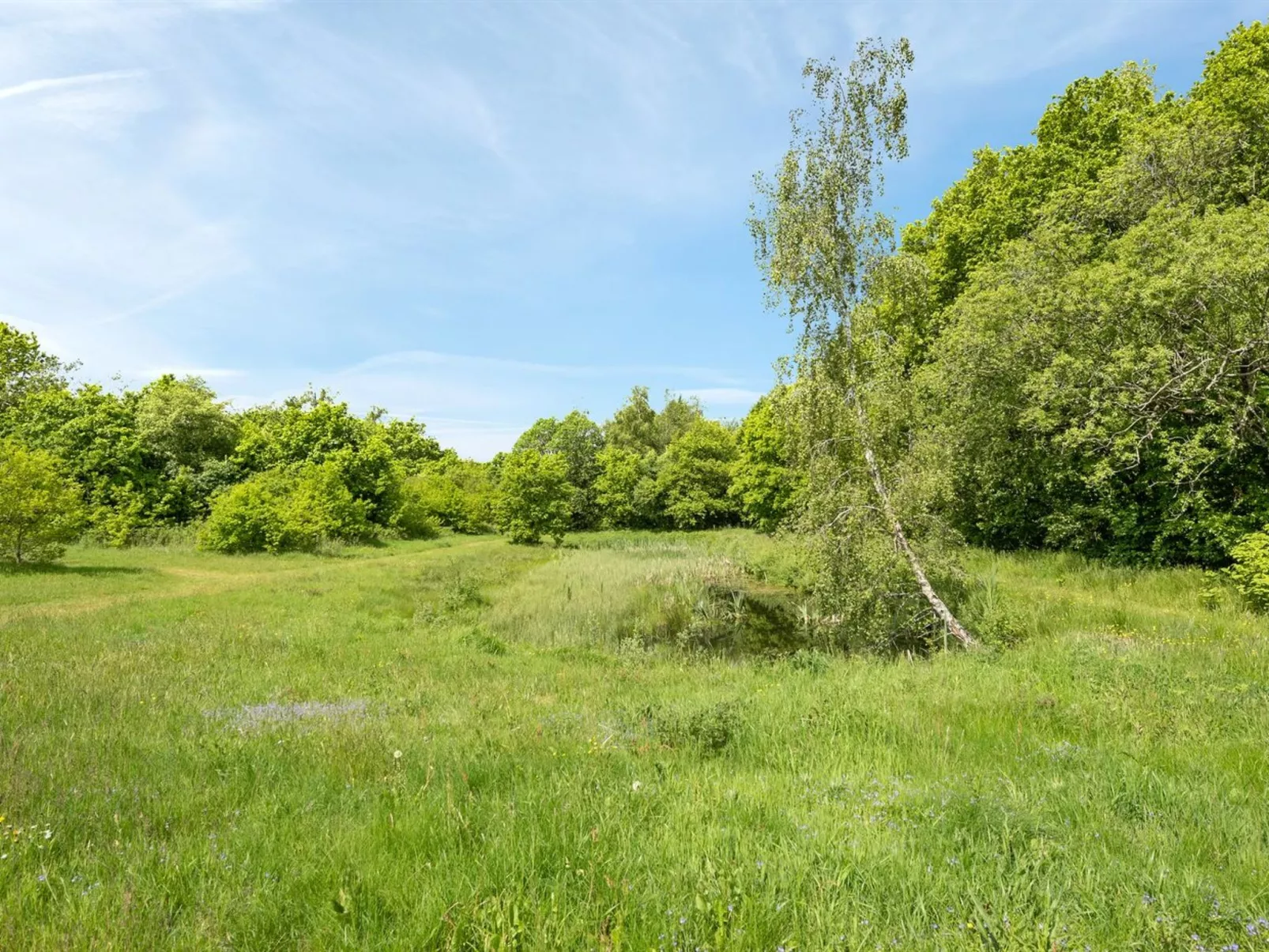 "Tydulf" - 34km from the sea-Binnen