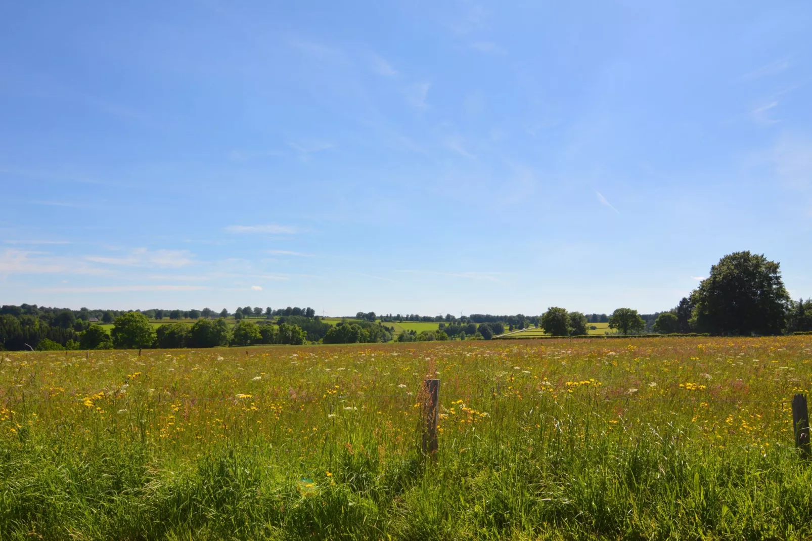 La maison de la Warche-Gebieden zomer 20km