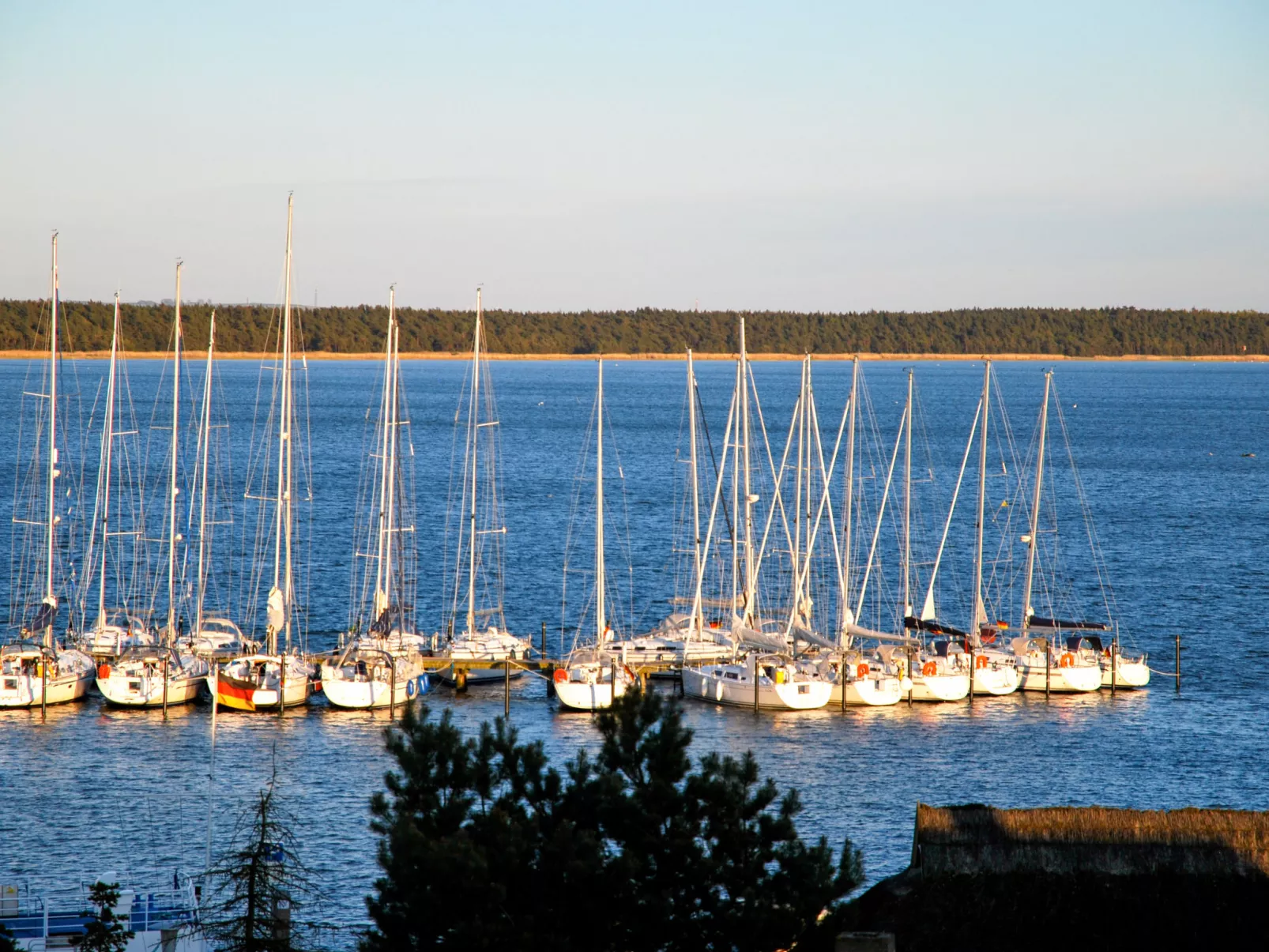 Stubbenkammer-Omgeving