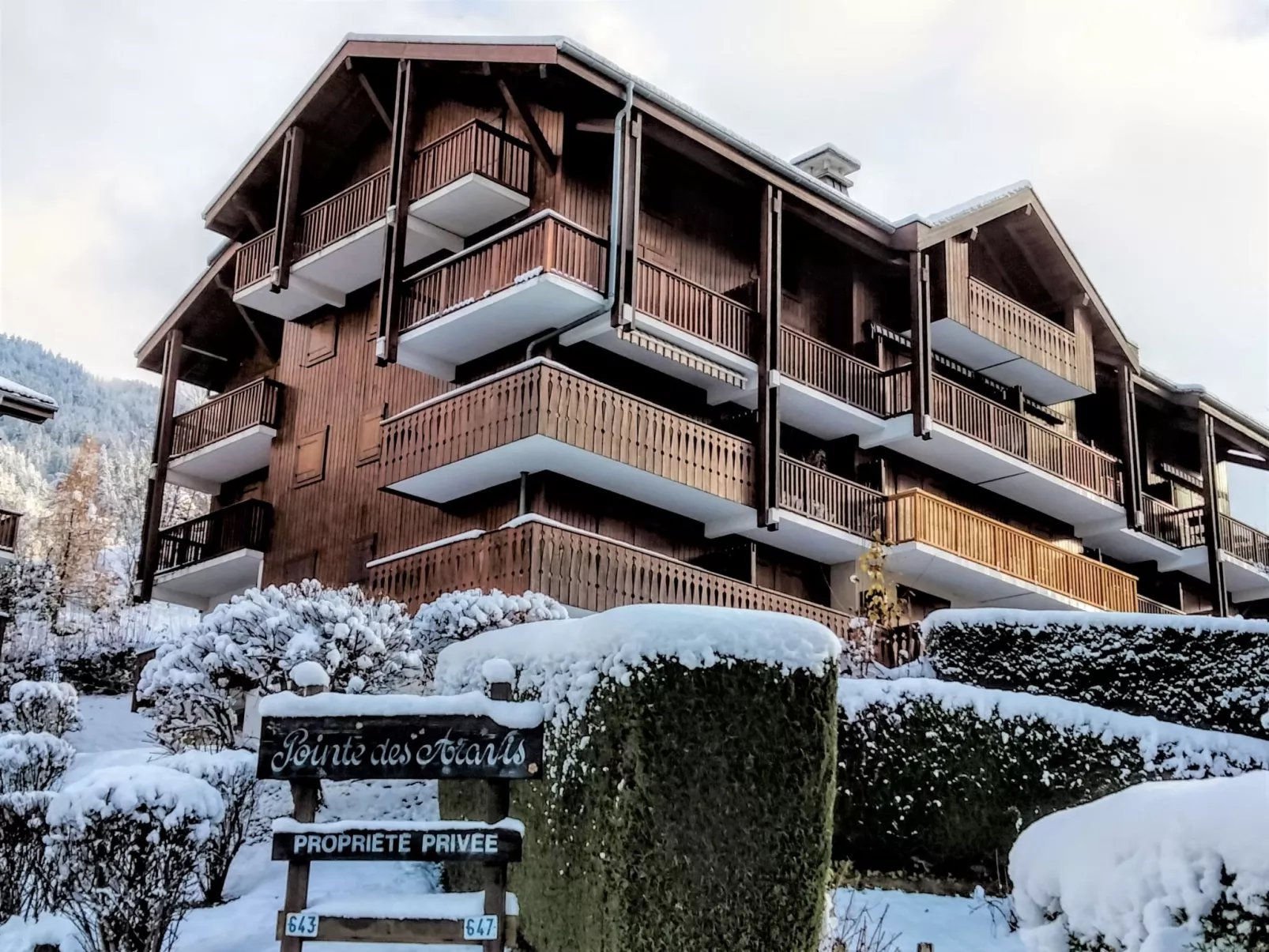 La pointe des Aravis 3-Buiten