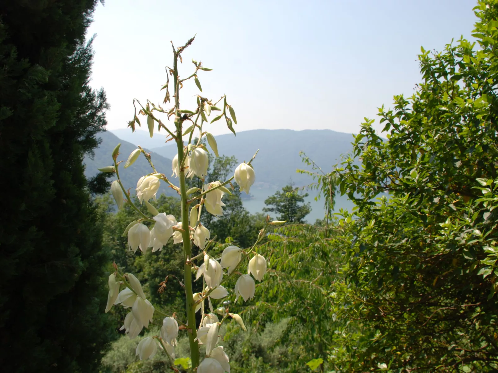 Studio al vigneto-Buiten