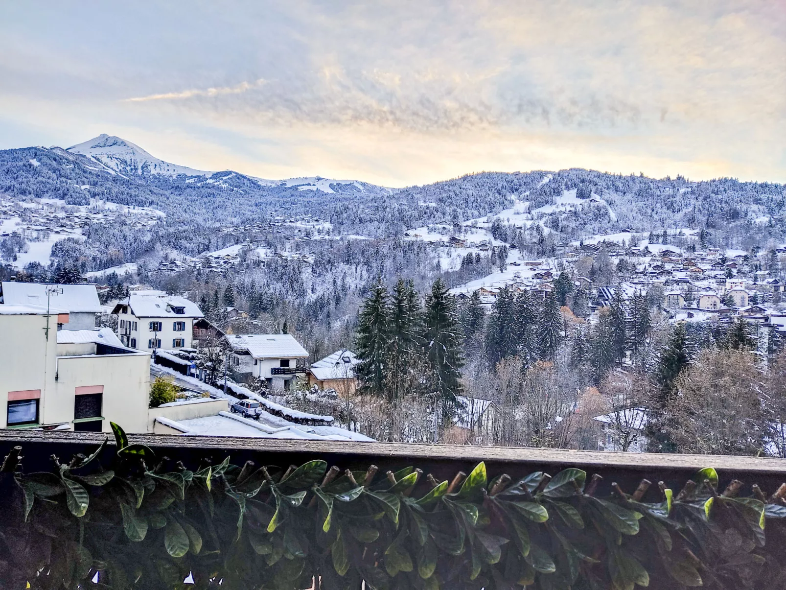 Fleurs des alpes-Buiten