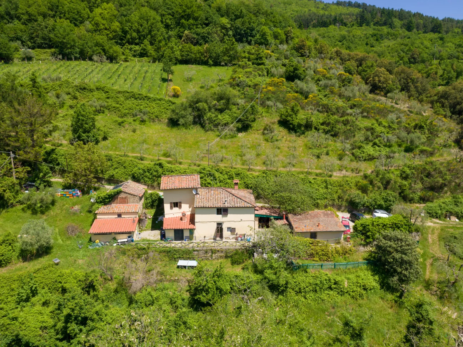 Il Castagneto-Buiten