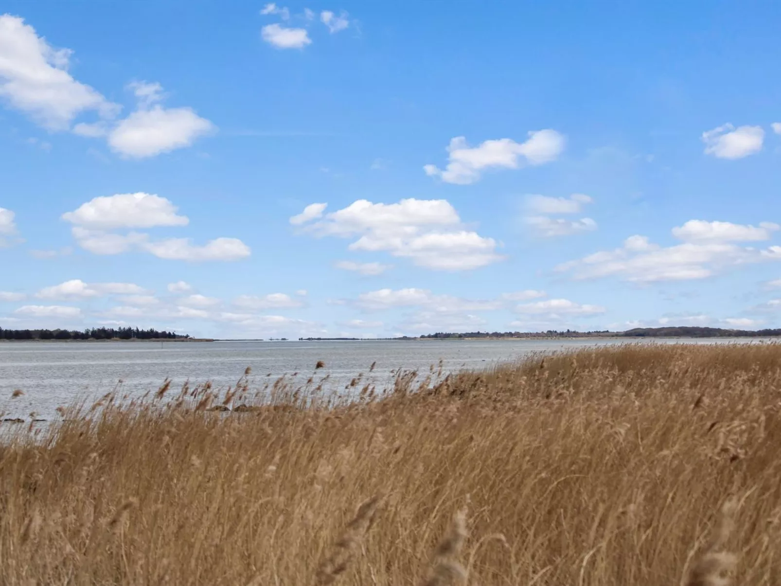 "Bendine" - 100m to the inlet-Buiten