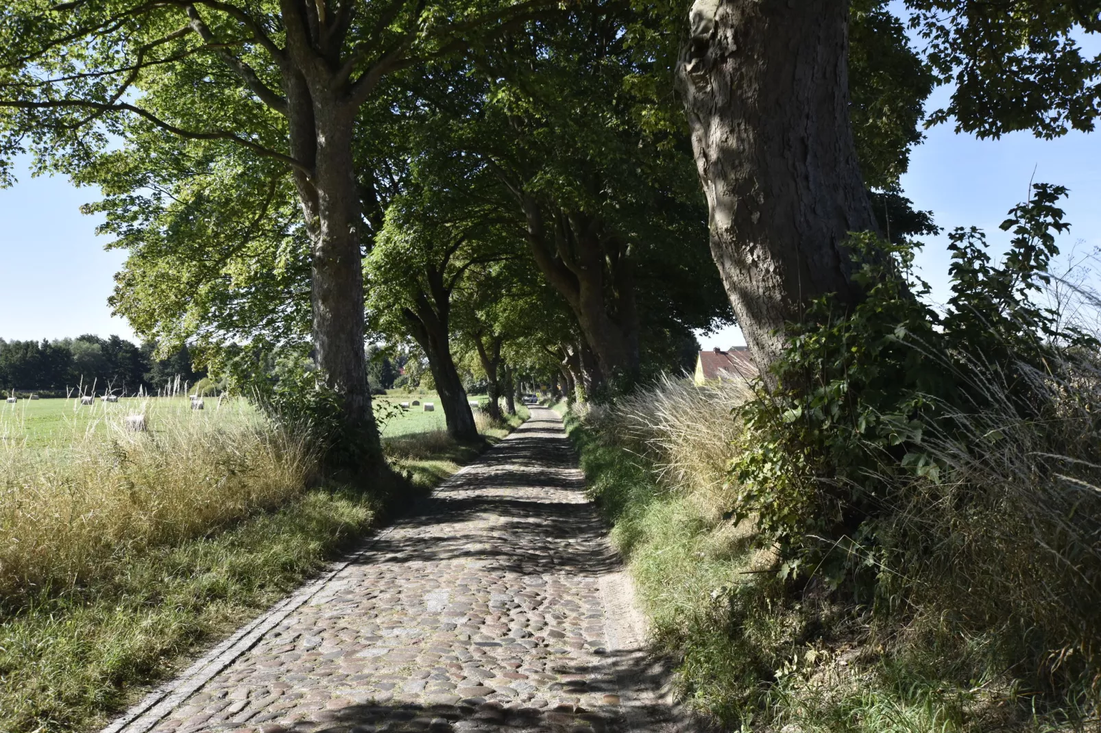 Ferienwohnung Sunny-Gebieden zomer 5km