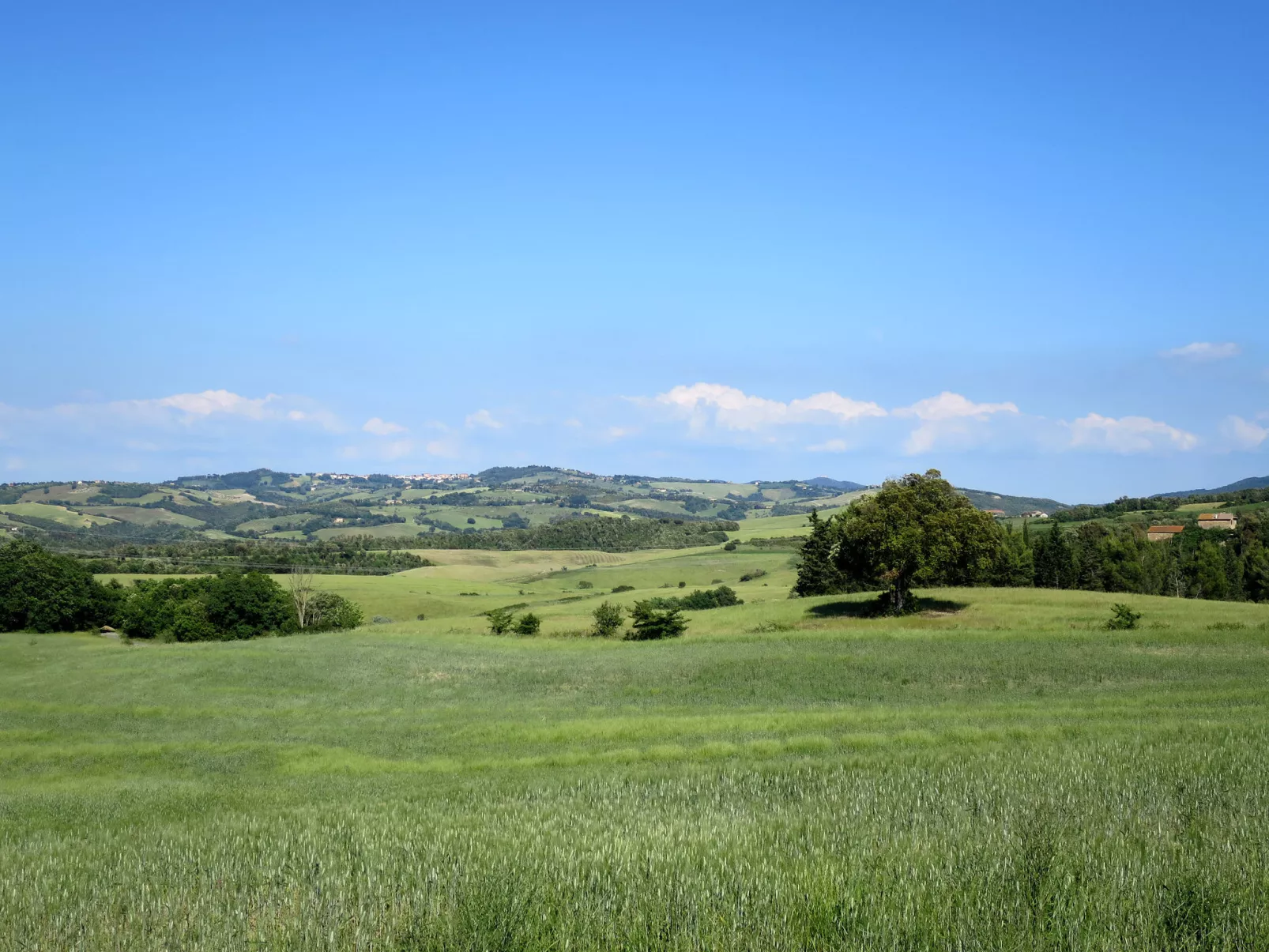 Il Sorbo-Buiten