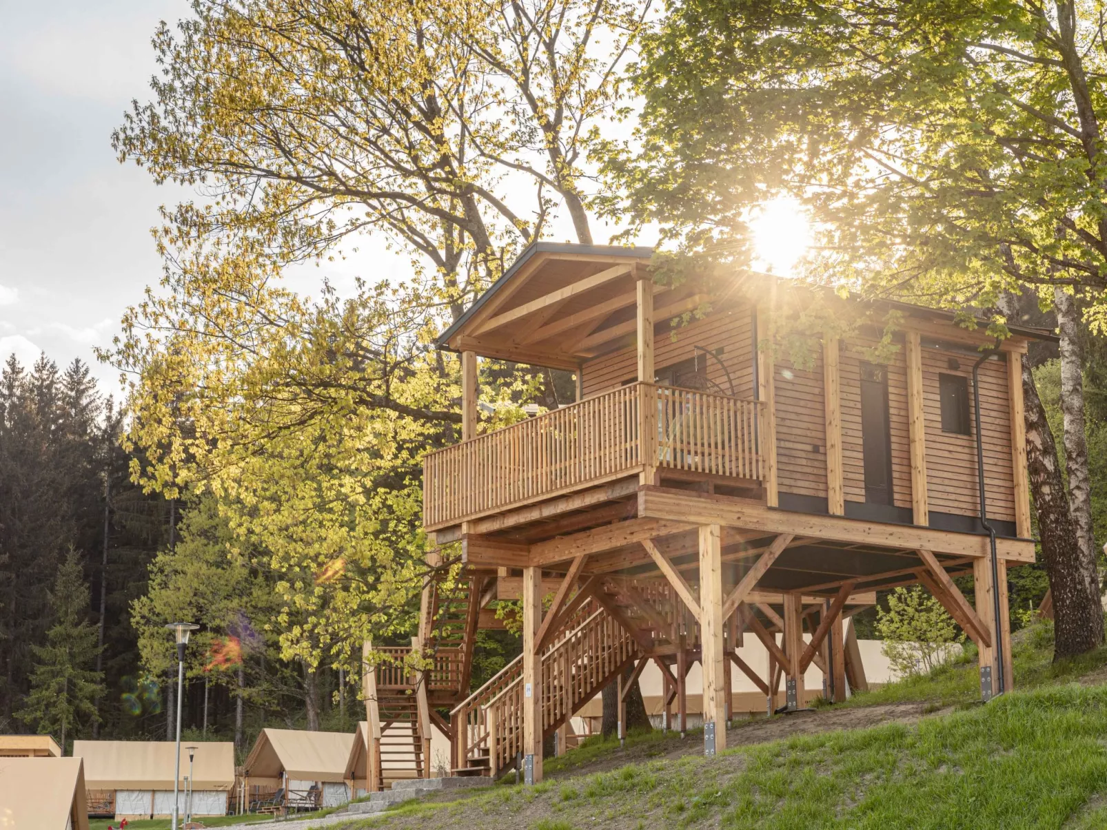 Premium Baumhaus mit 1 Schlafzimmer