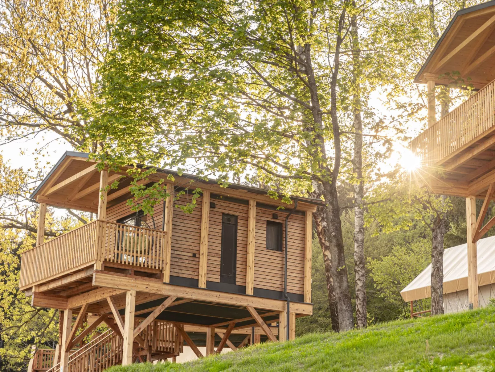 Premium Baumhaus mit 1 Schlafzimmer-Buiten