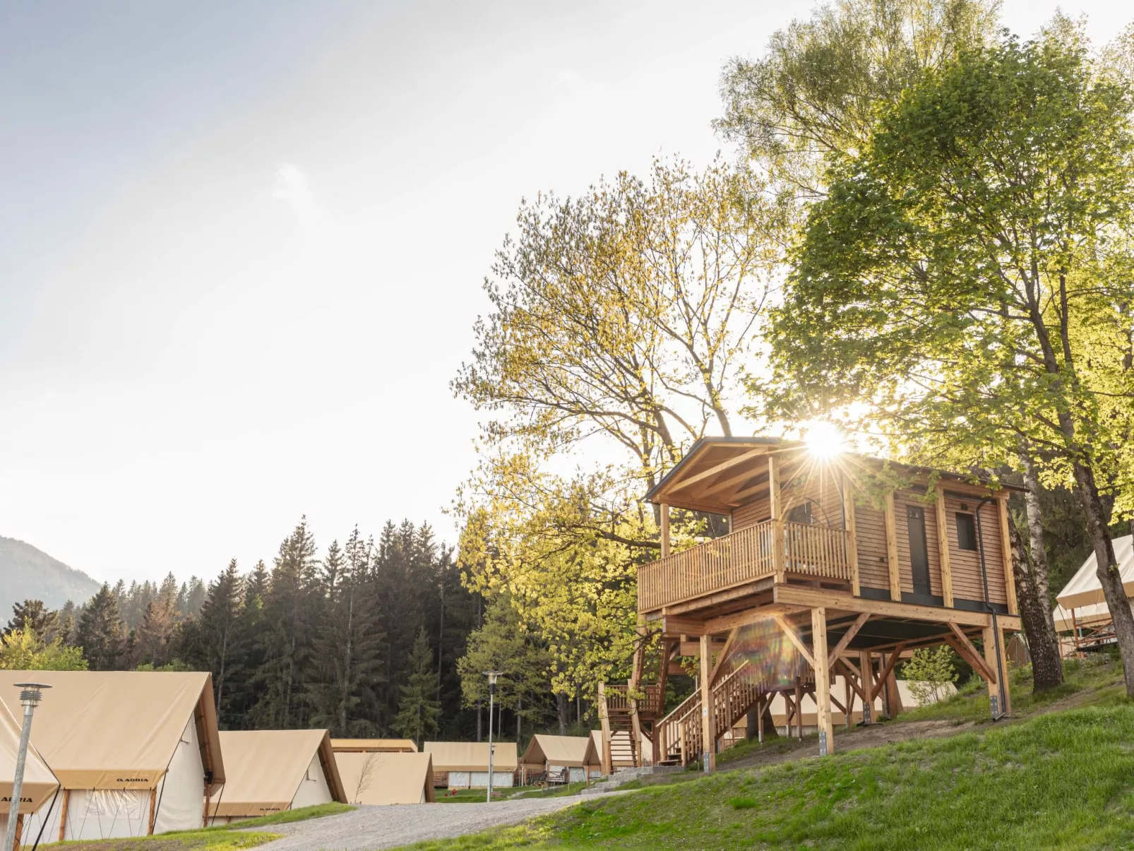 Premium Baumhaus mit 1 Schlafzimmer-Buiten