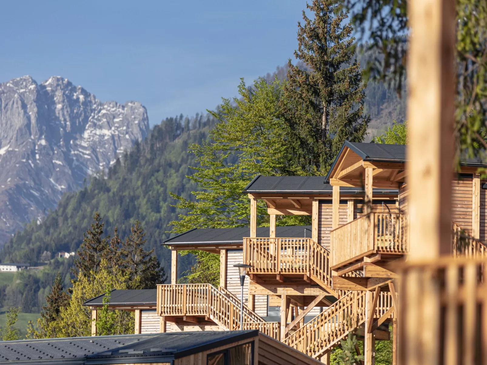 Premium Baumhaus mit 1 Schlafzimmer-Buiten