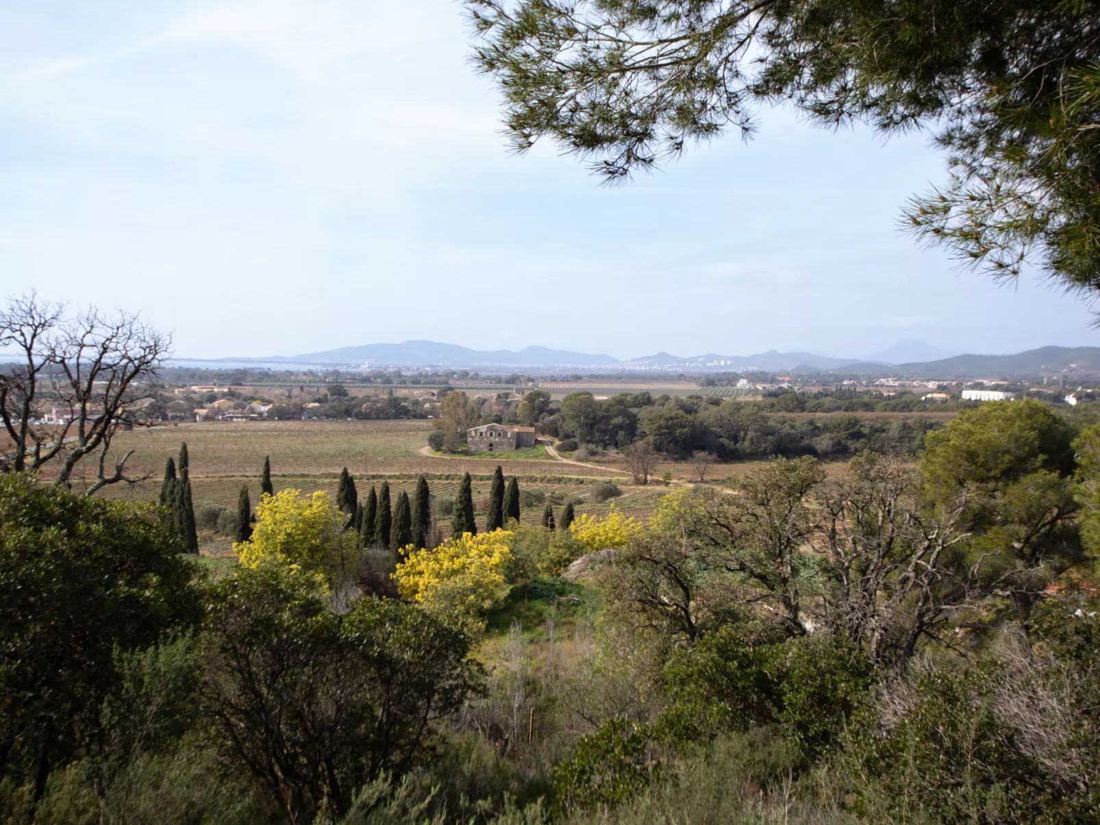 Le Belvédère-Omgeving