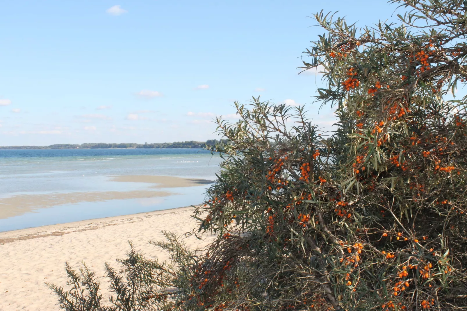 Ostseeurlaub Zur Steinbäck mit Terrasse-Gebieden zomer 1km