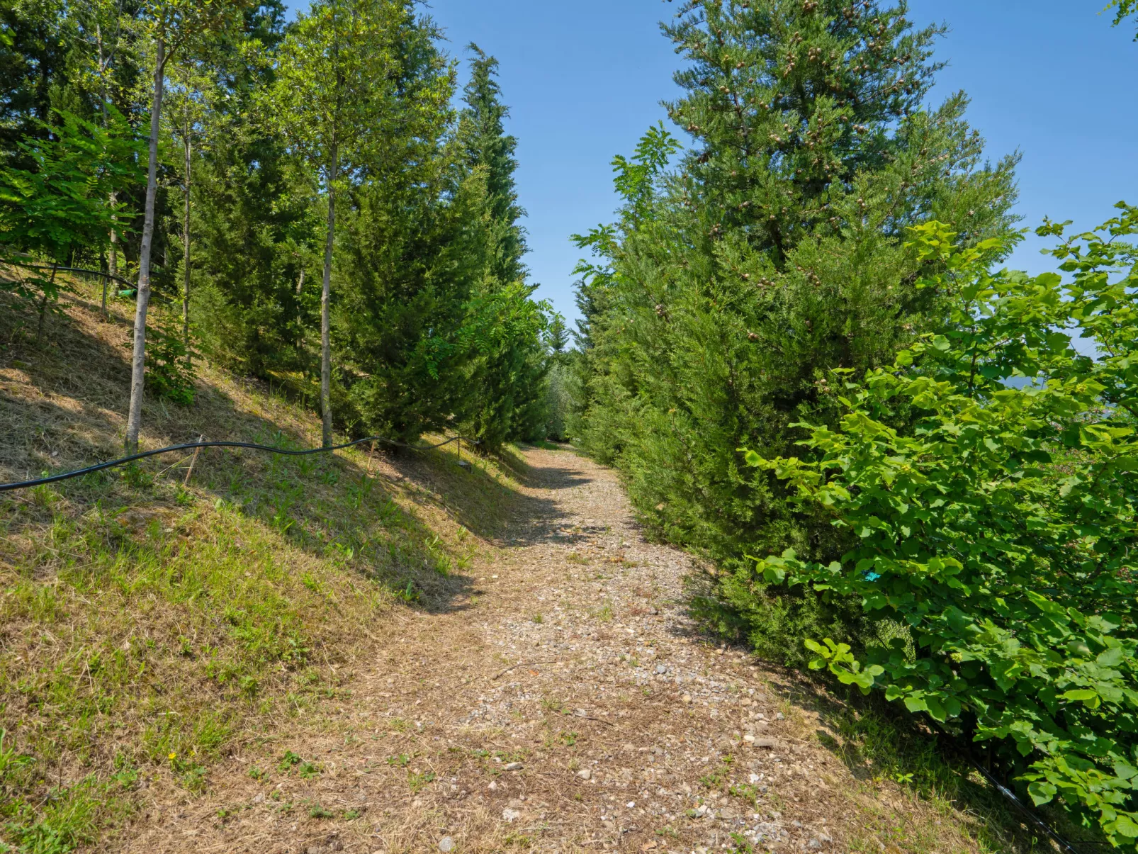 La Rosa-Buiten