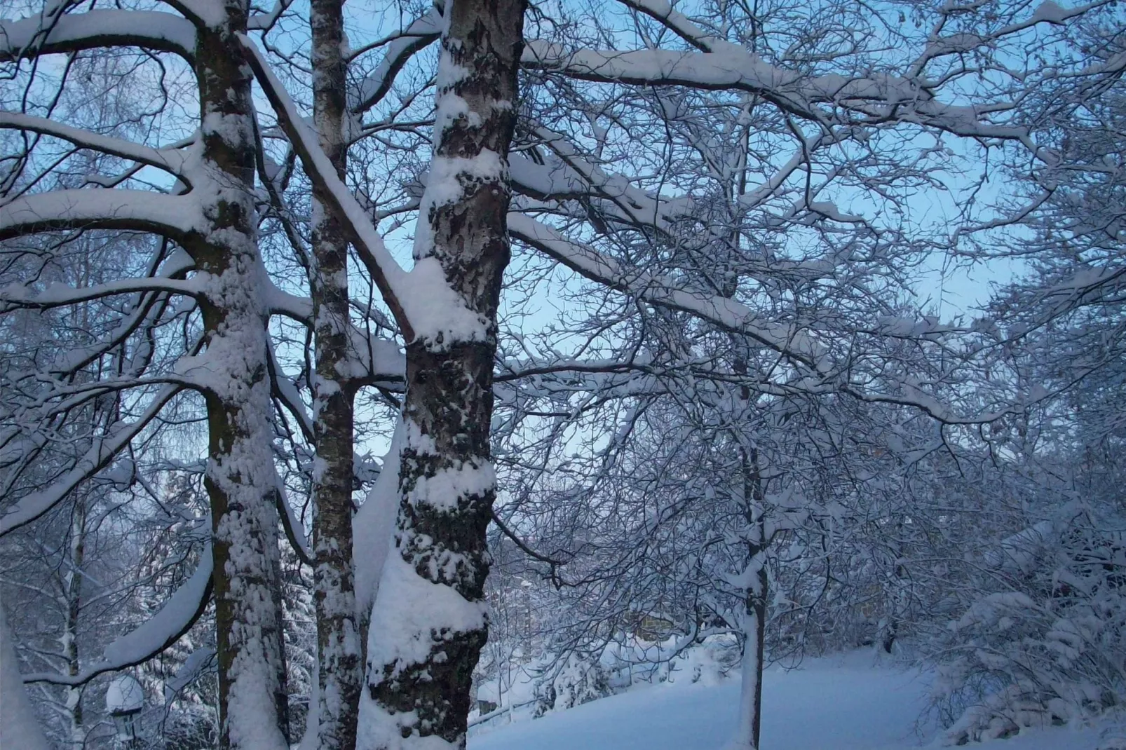 Les Muguets-Tuin winter