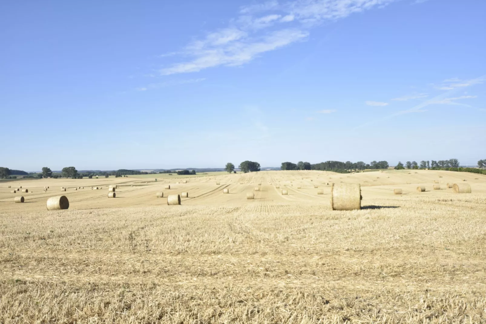 Ferienbungalow Kröpelin-Gebieden zomer 1km