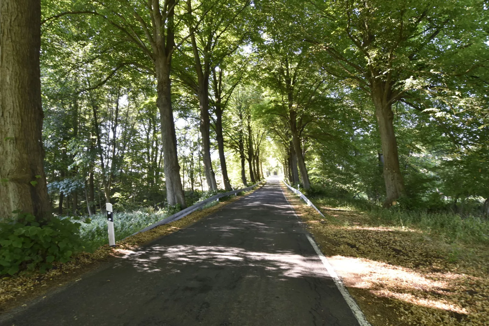Ferienbungalow Kröpelin-Gebieden zomer 5km
