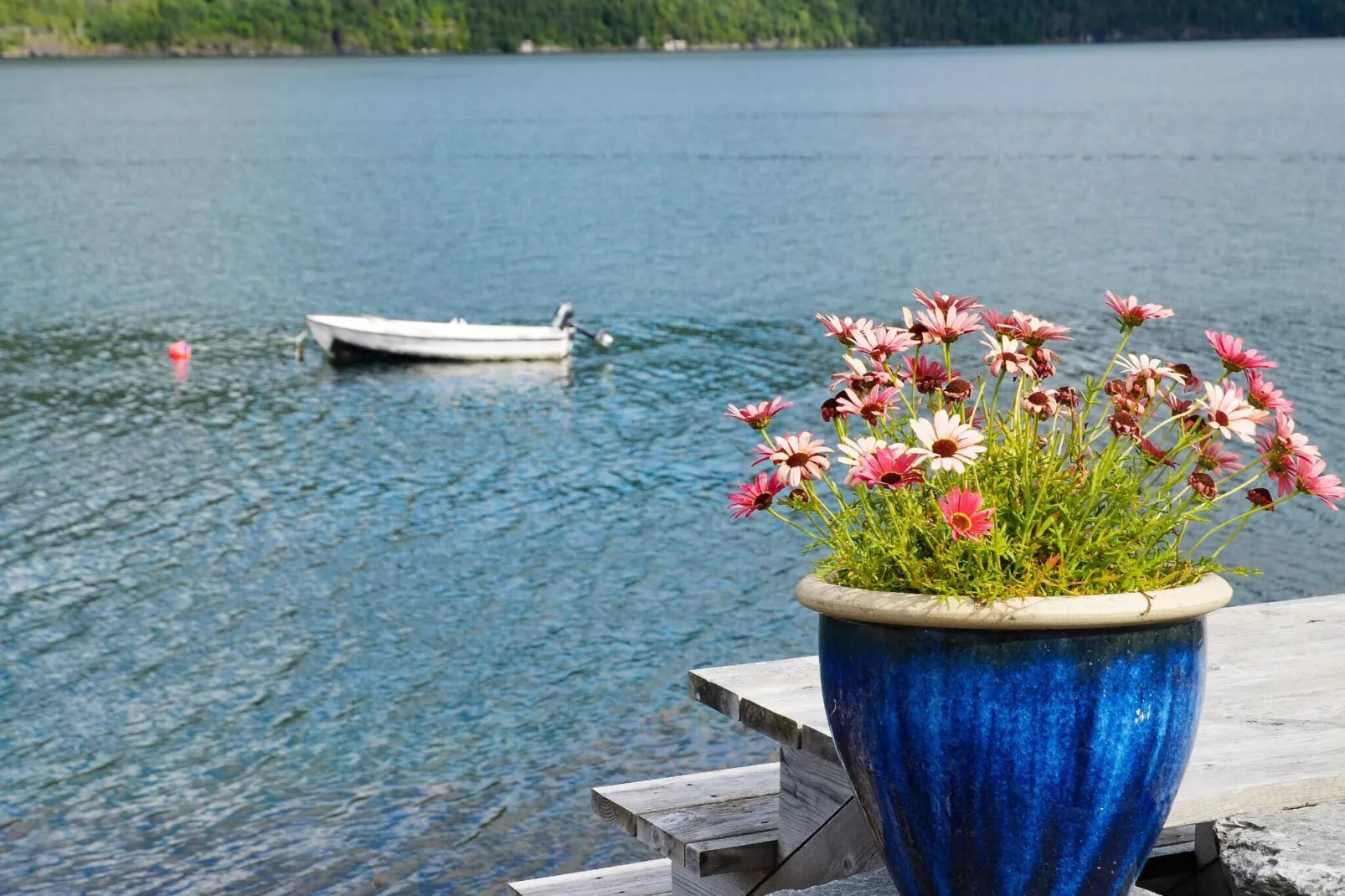 4 persoons vakantie huis in Utvik-By Traum-Niet-getagd