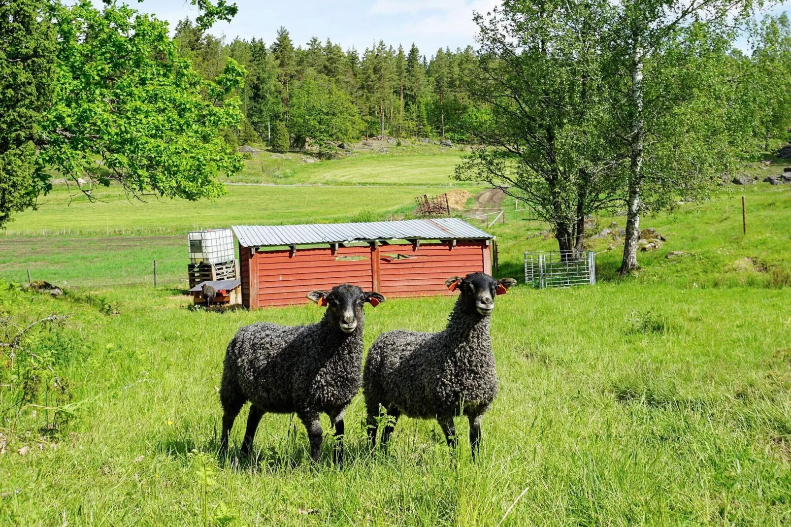 4 persoons vakantie huis in Mellösa-Niet-getagd