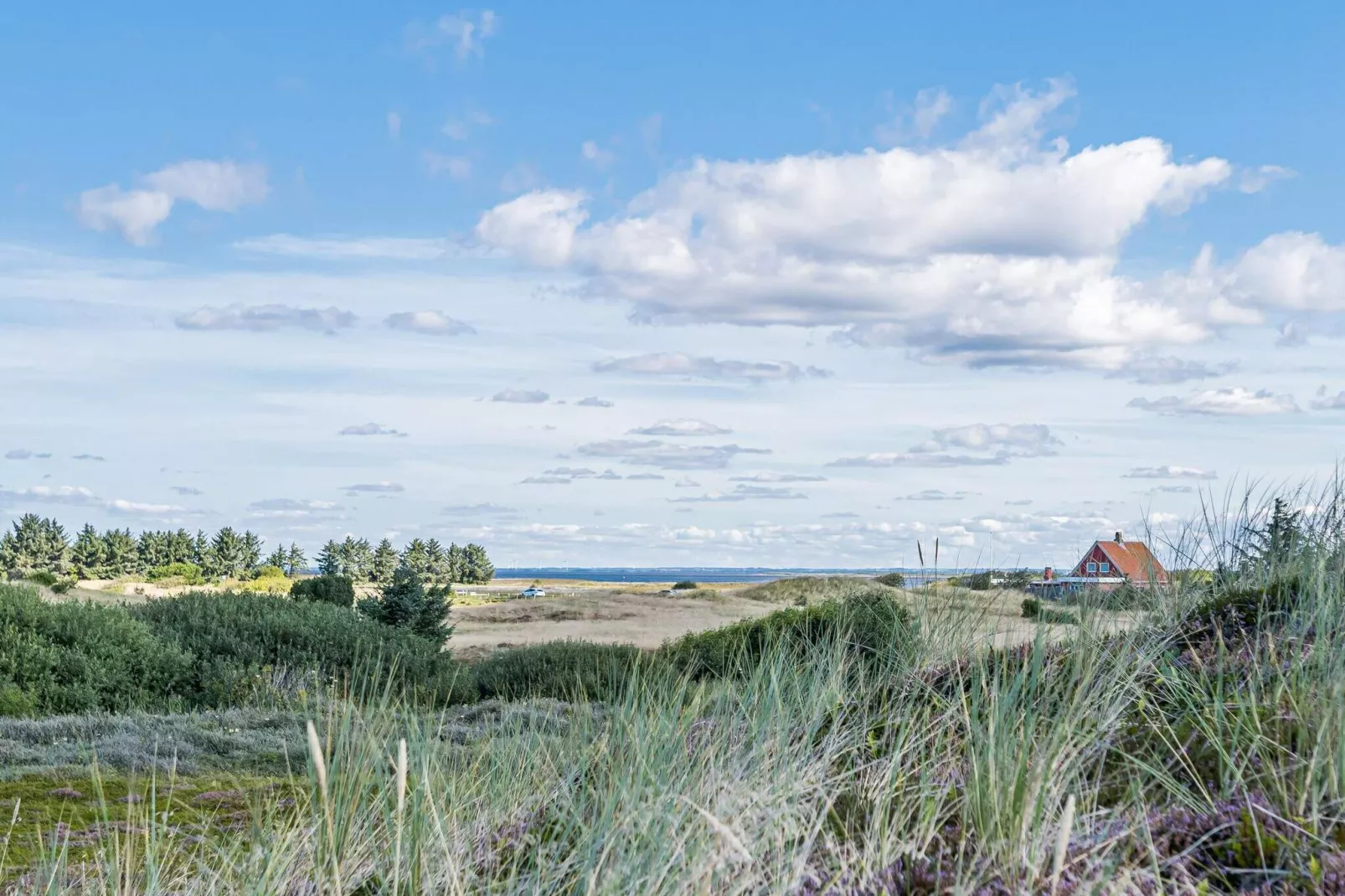 8 persoons vakantie huis op een vakantie park in Hvide Sande