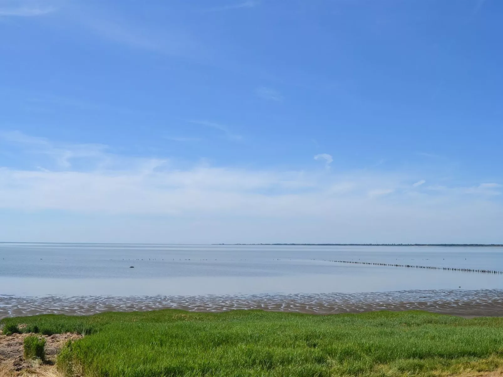 "Arjan" in Western Jutland-Buiten