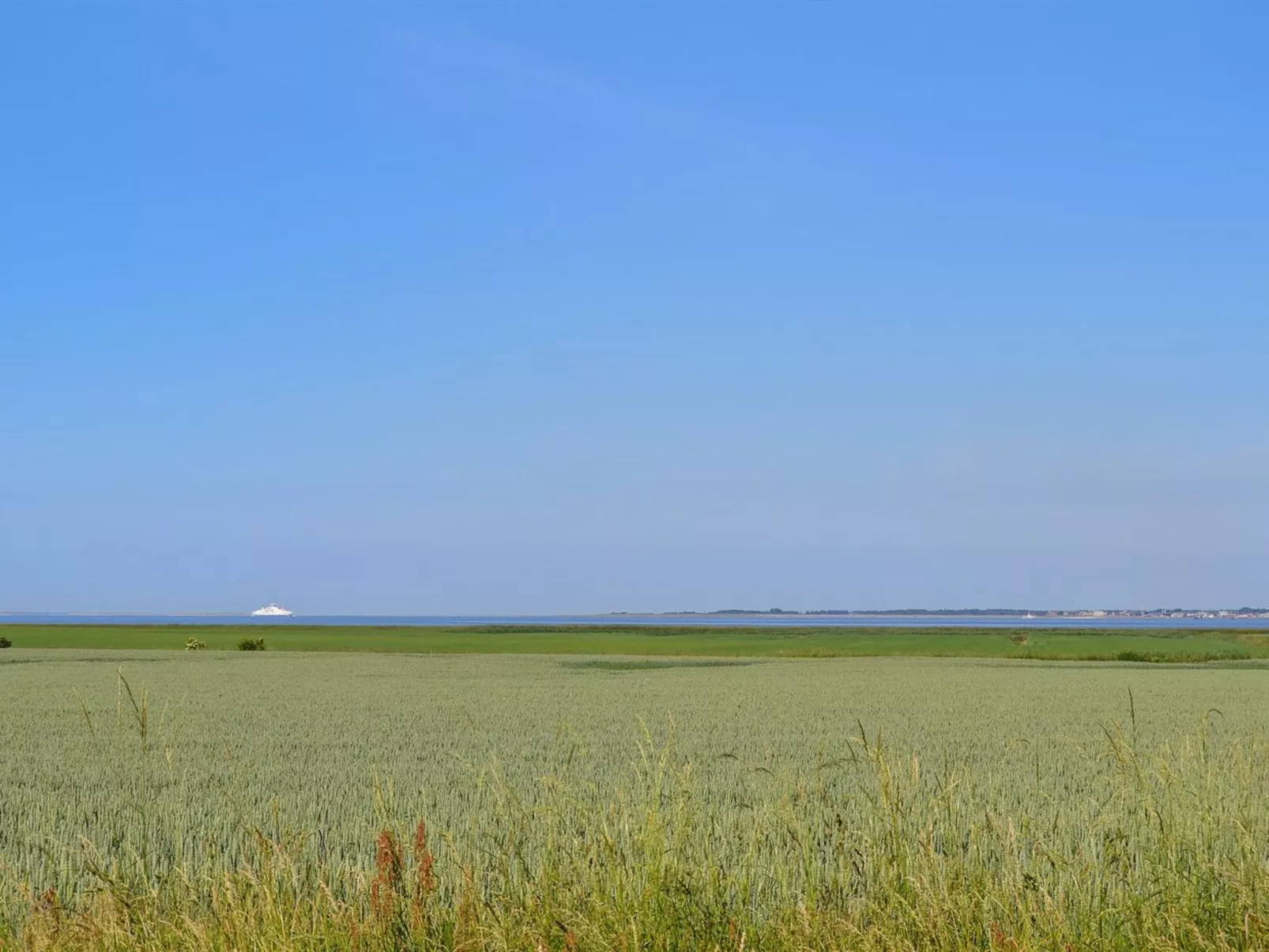 "Arjan" in Western Jutland-Buiten