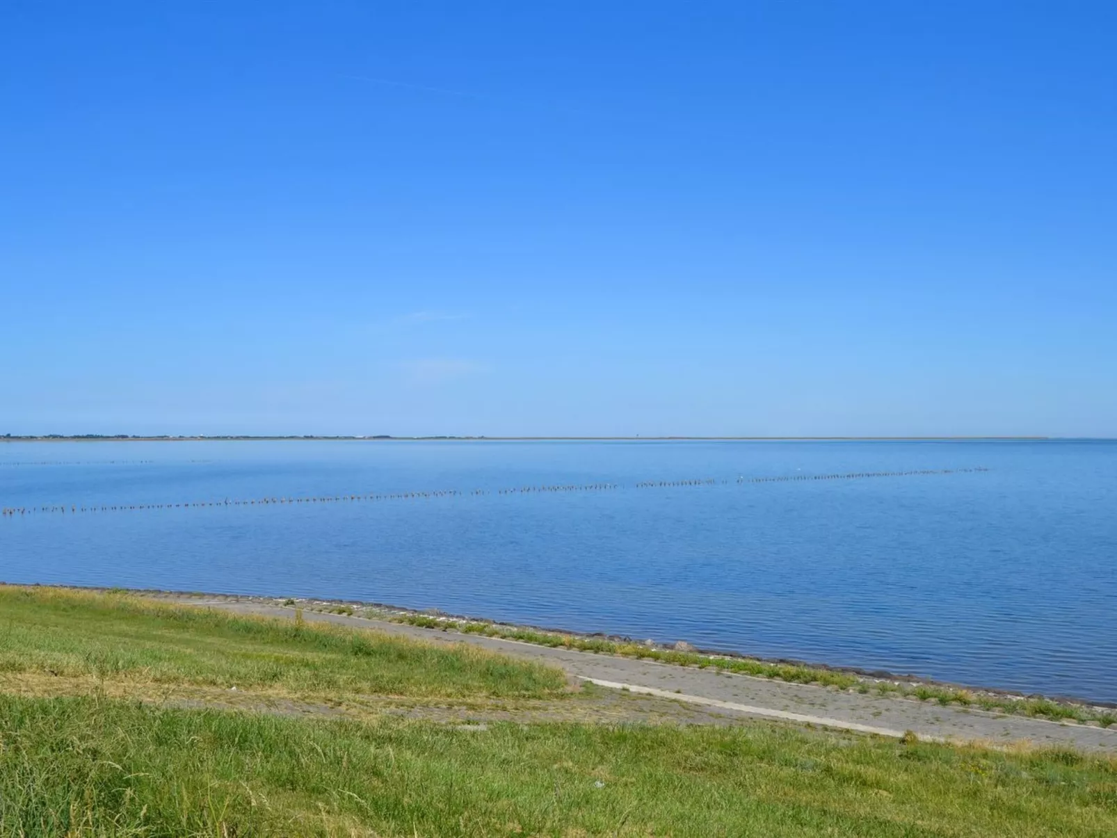 "Arjan" in Western Jutland-Buiten