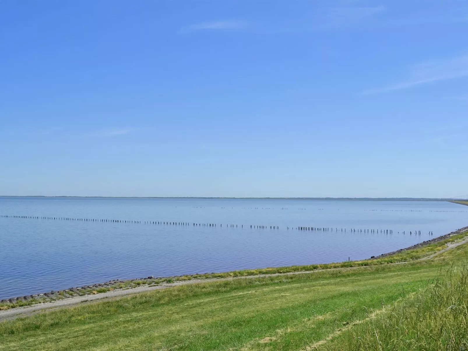 "Arjan" in Western Jutland-Buiten