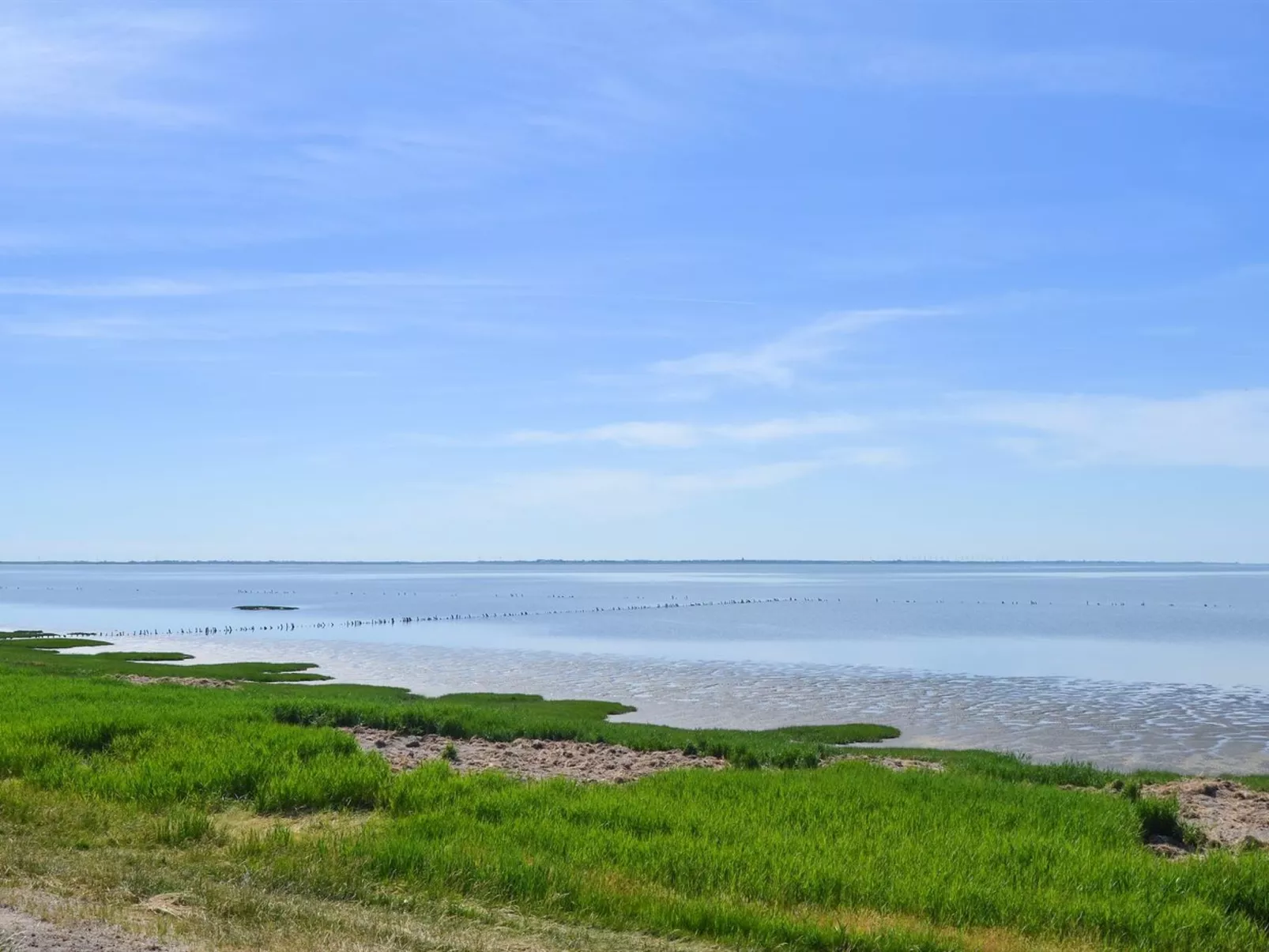 "Arjan" in Western Jutland-Buiten