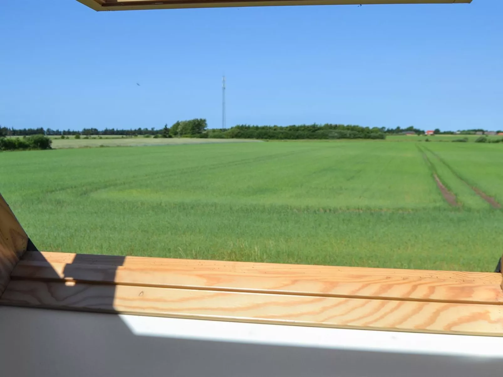 "Arjan" in Western Jutland-Buiten