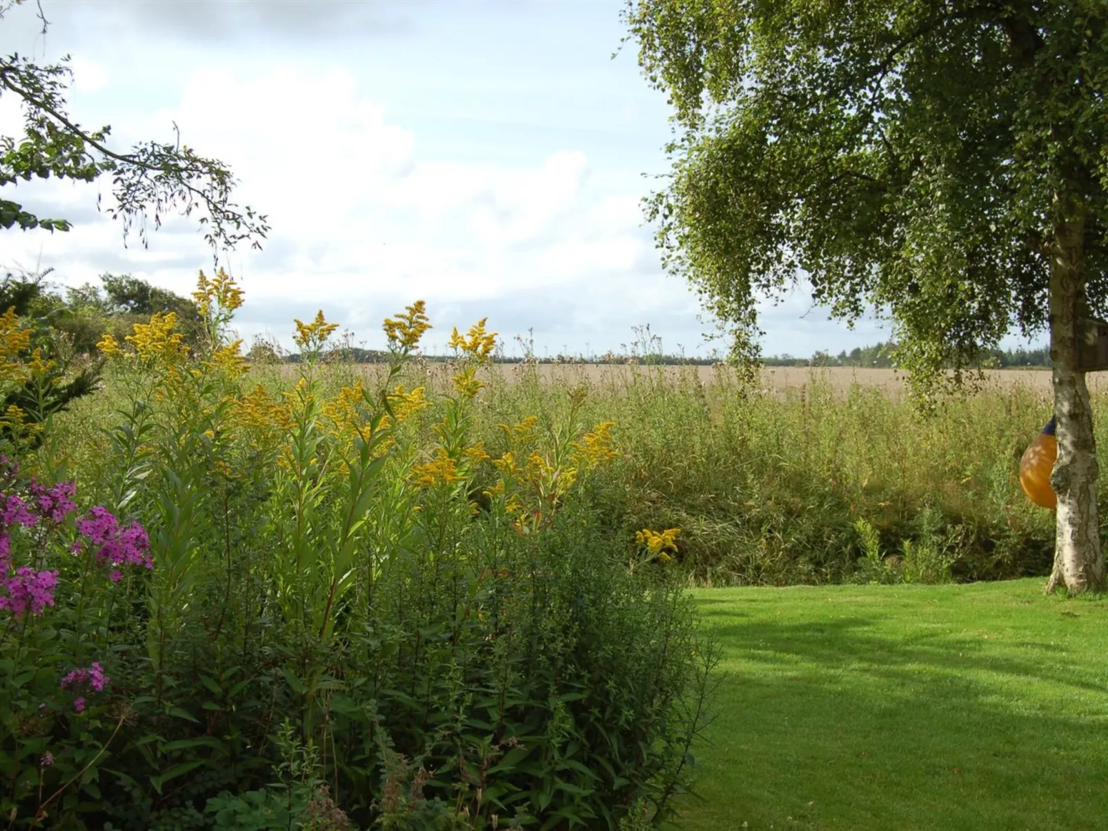 "Veli" - 1.7km from the sea-Buiten